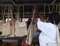 Keindahan dan Kearifan Lokal Noken, Tas Tradisional Papua