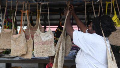 Keindahan dan Kearifan Lokal Noken, Tas Tradisional Papua