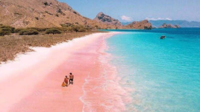 Pantai Tangsi di Pulau Komodo terkenal dengan pasirnya yang berwarna merah muda