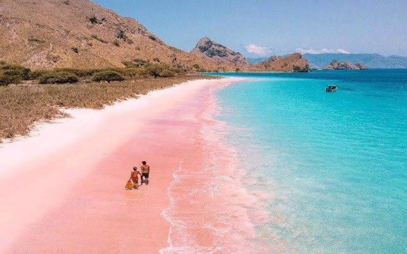 Pantai Tangsi di Pulau Komodo terkenal dengan pasirnya yang berwarna merah muda